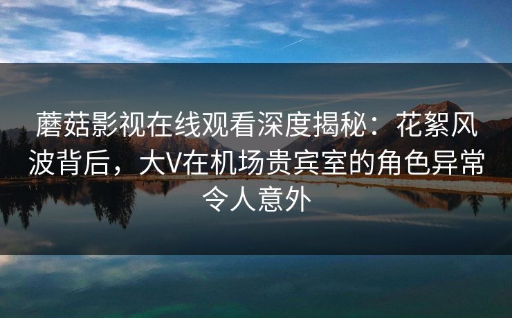 蘑菇影视在线观看深度揭秘：花絮风波背后，大V在机场贵宾室的角色异常令人意外