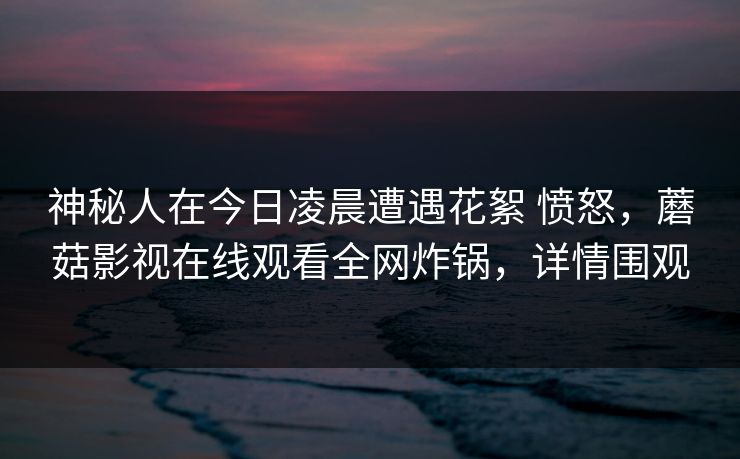 神秘人在今日凌晨遭遇花絮 愤怒，蘑菇影视在线观看全网炸锅，详情围观