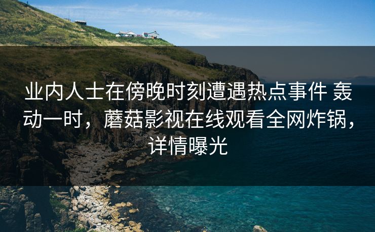 业内人士在傍晚时刻遭遇热点事件 轰动一时，蘑菇影视在线观看全网炸锅，详情曝光