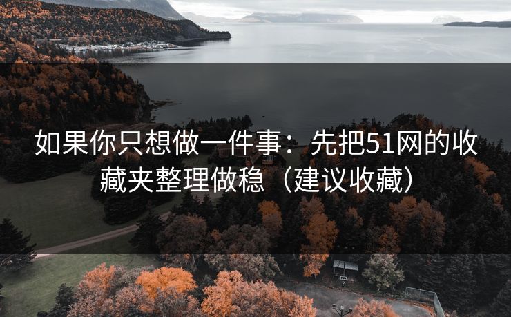 如果你只想做一件事：先把51网的收藏夹整理做稳（建议收藏）